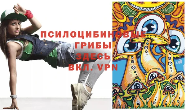 a pvp Зеленокумск