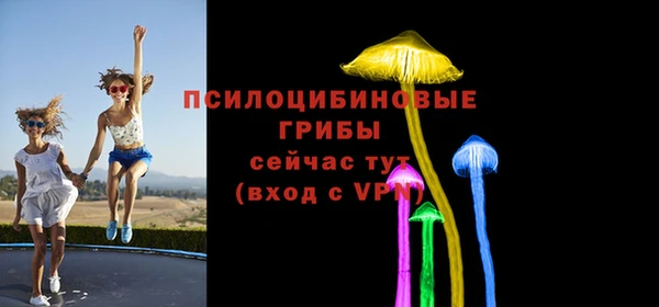 a pvp Зеленокумск