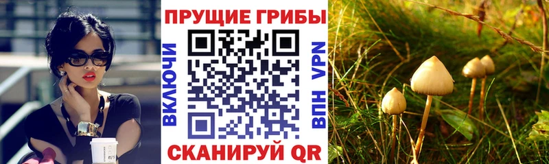 Галлюциногенные грибы Magic Shrooms  Купить закладки  Рыбинск 